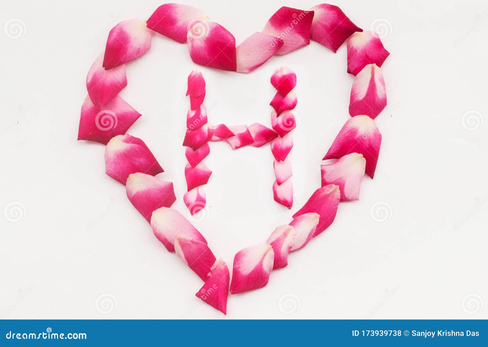 Love Shape Rose Petal Letter H Background Image on White ...