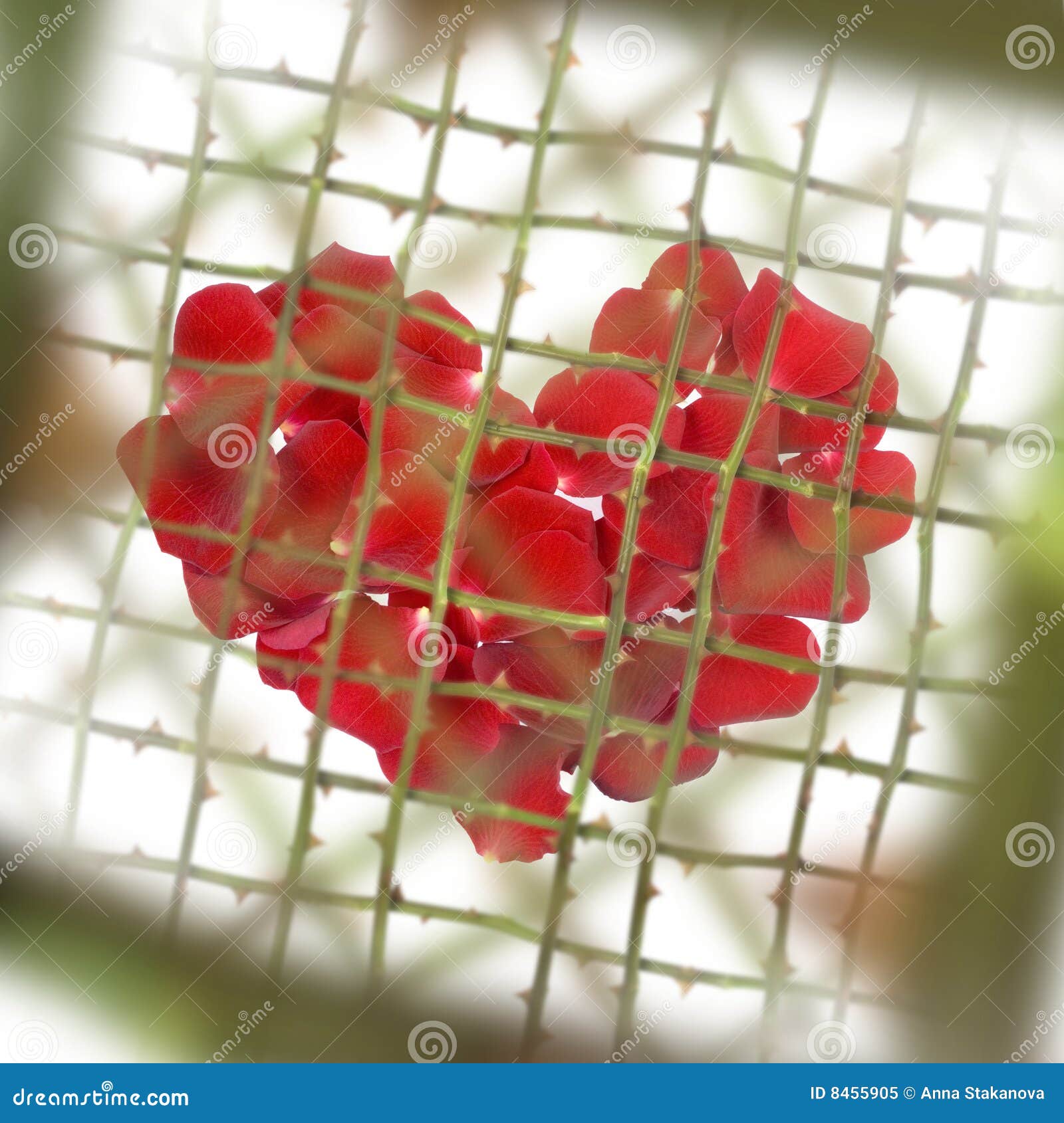 Love with thorns stock image. Image of concept, february 8455905