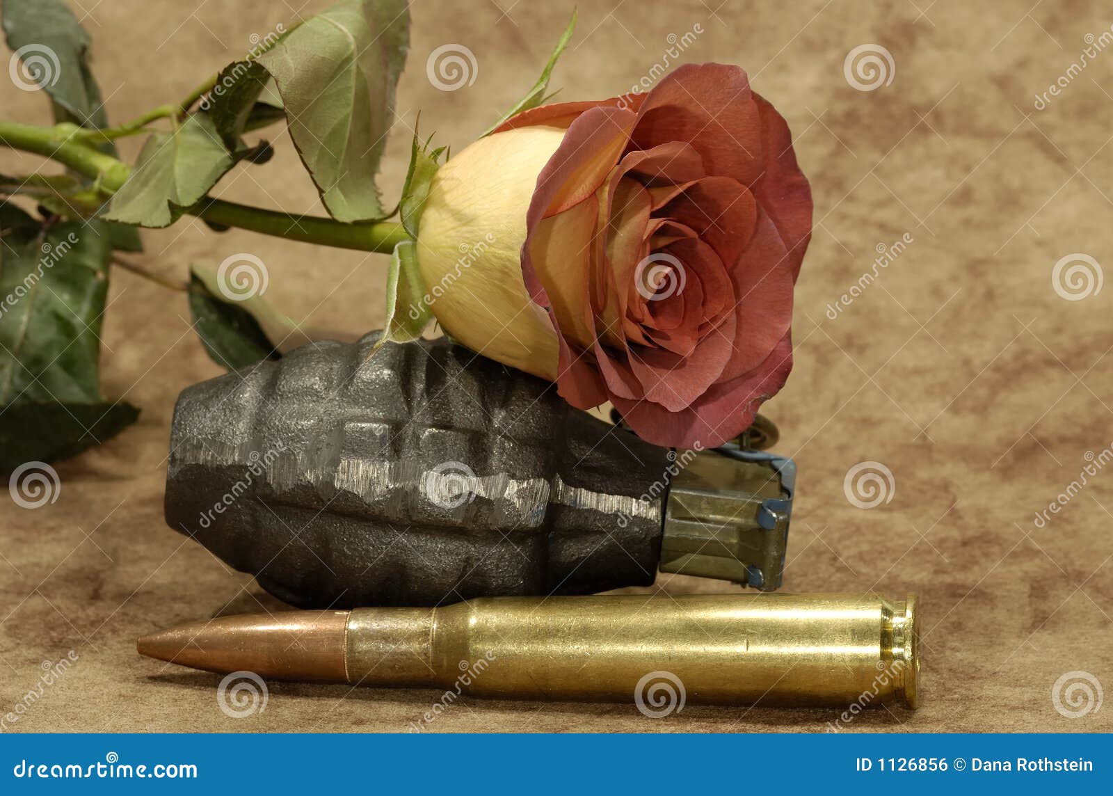 Love and War stock photo. Image of rosebud, bullet, divorce - 1126856
