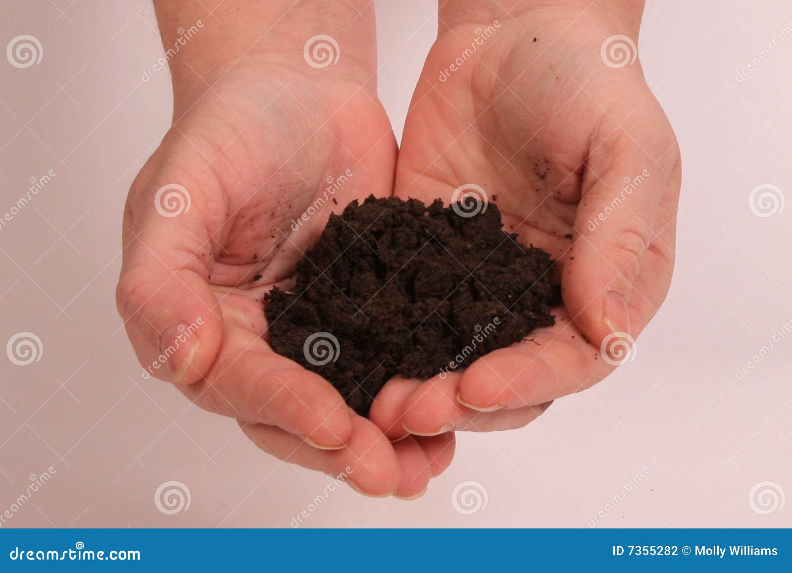Love your earth stock photo. Image of agriculture, fresh 7355282