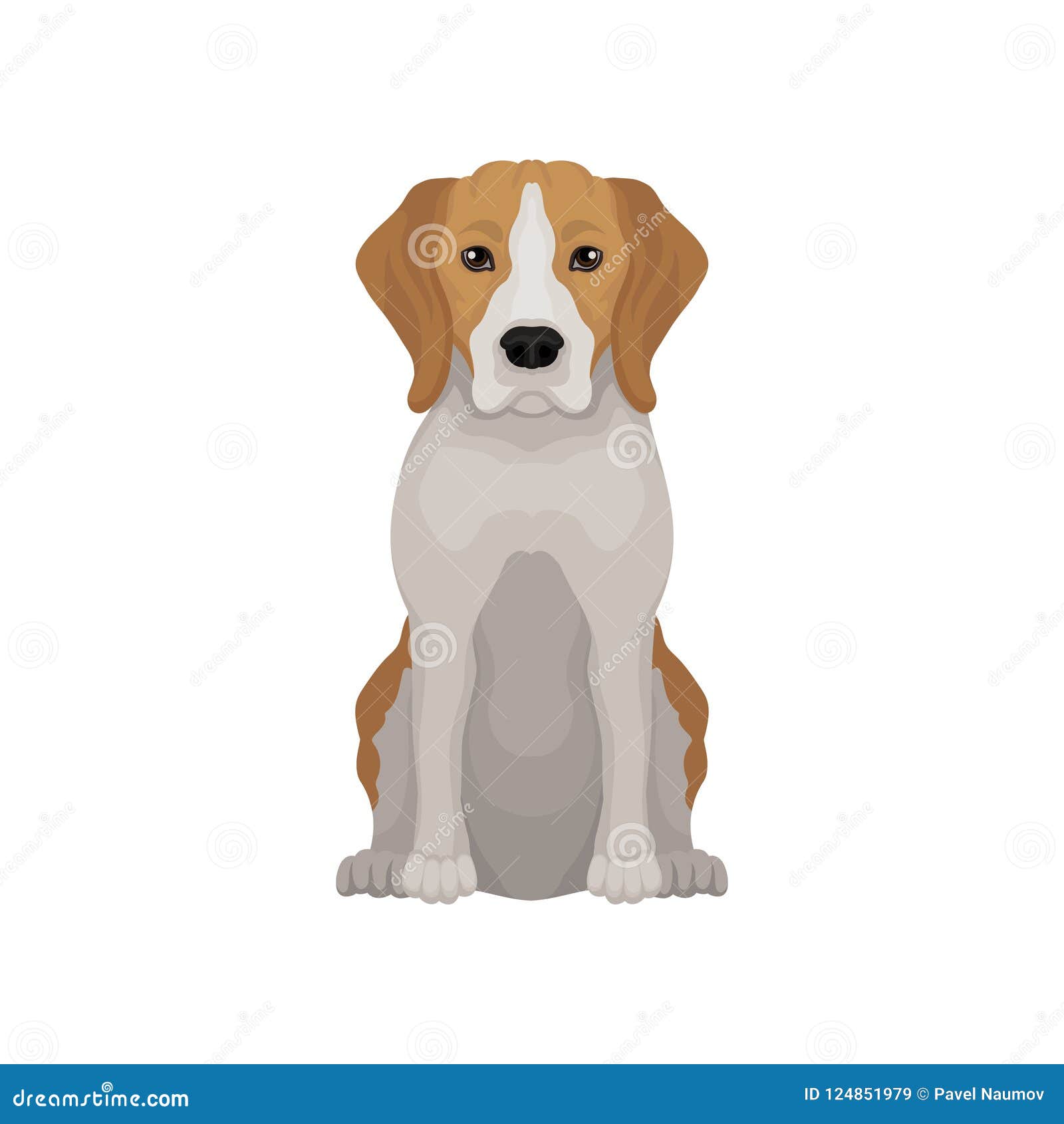 cute puppy muzzle cute puppy muzzle