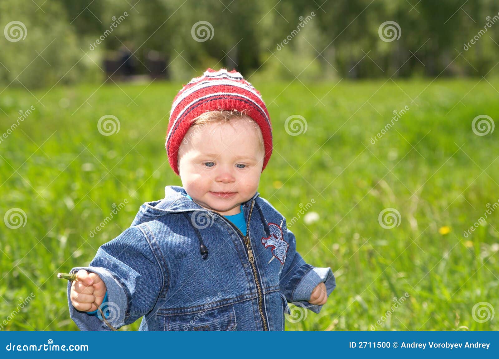 The lovely child stock photo. Image of background, beautiful - 2711500