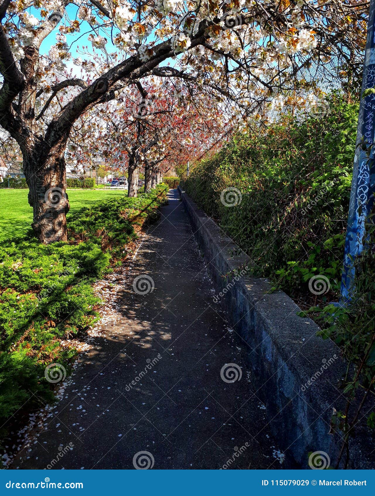 Pathway at Brewers Field stock image. Image of lovely 115079029