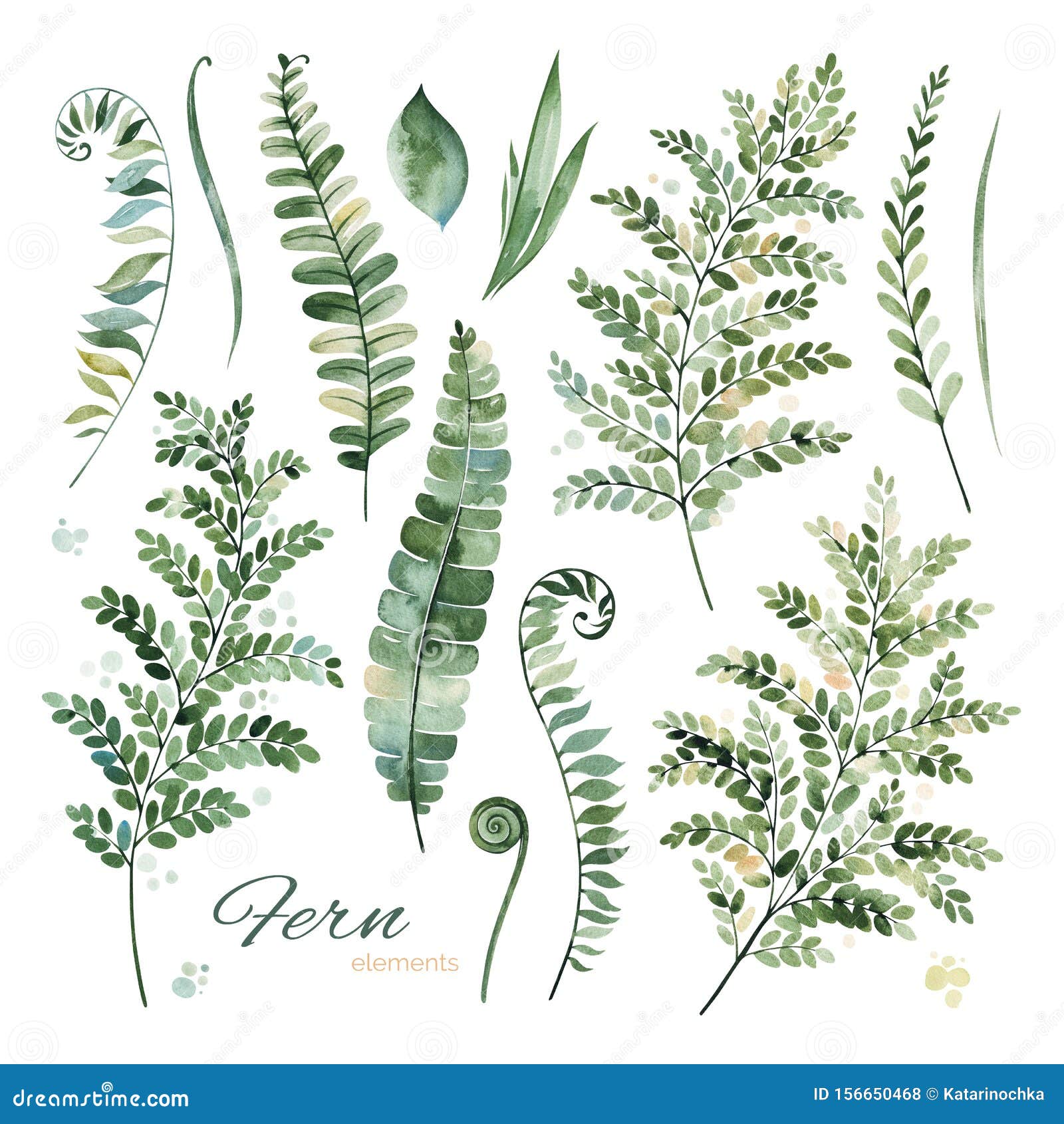 lovely floral collection with different fern leaves,green,branches