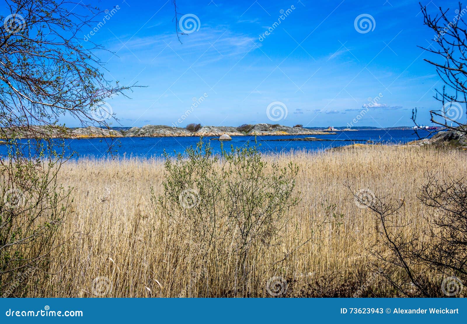 Islands with Nature - Gothenburg, Sweden. Stock Image - Image of lake, 73623943