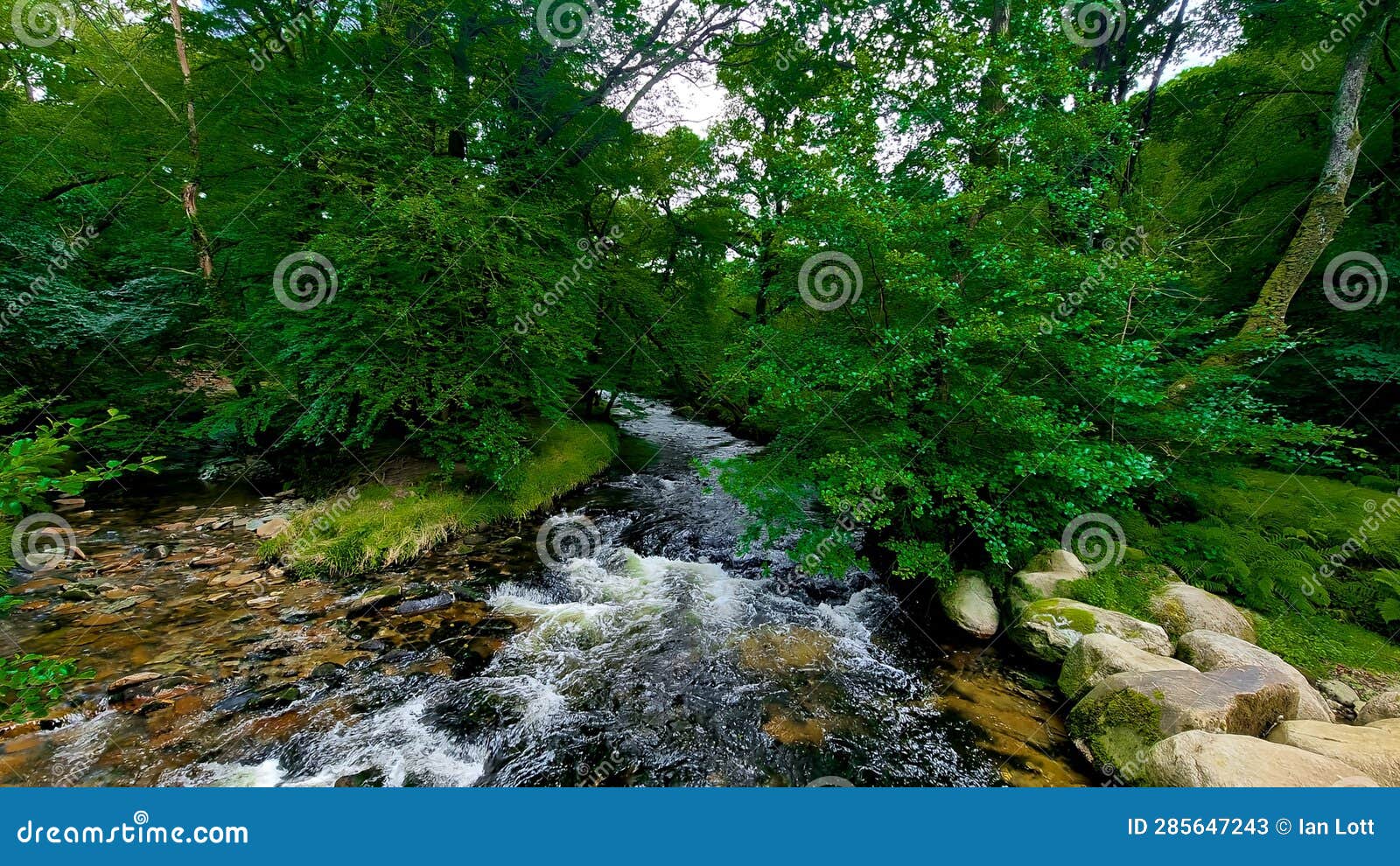 double waters, river tavy , dartmoor-national-park devon uk