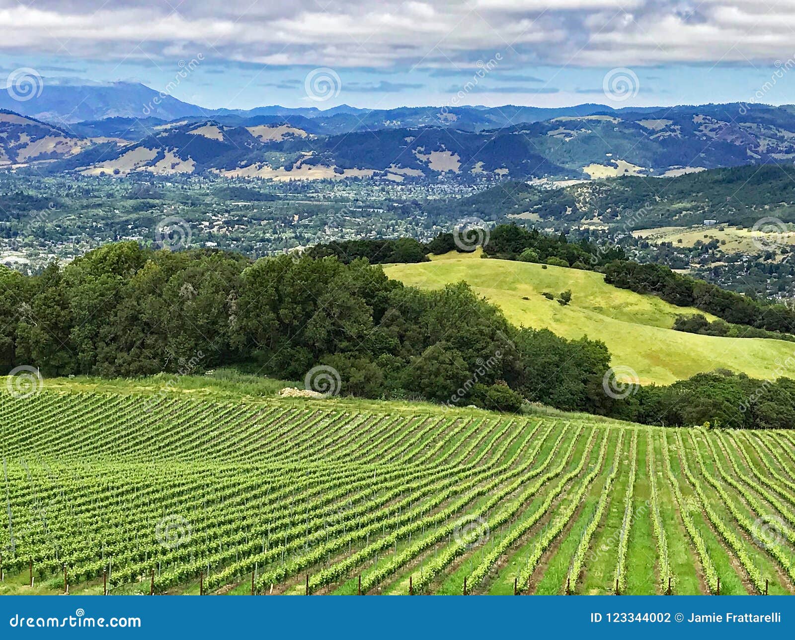 a view over the hills and vineyards of sonoma county, california
