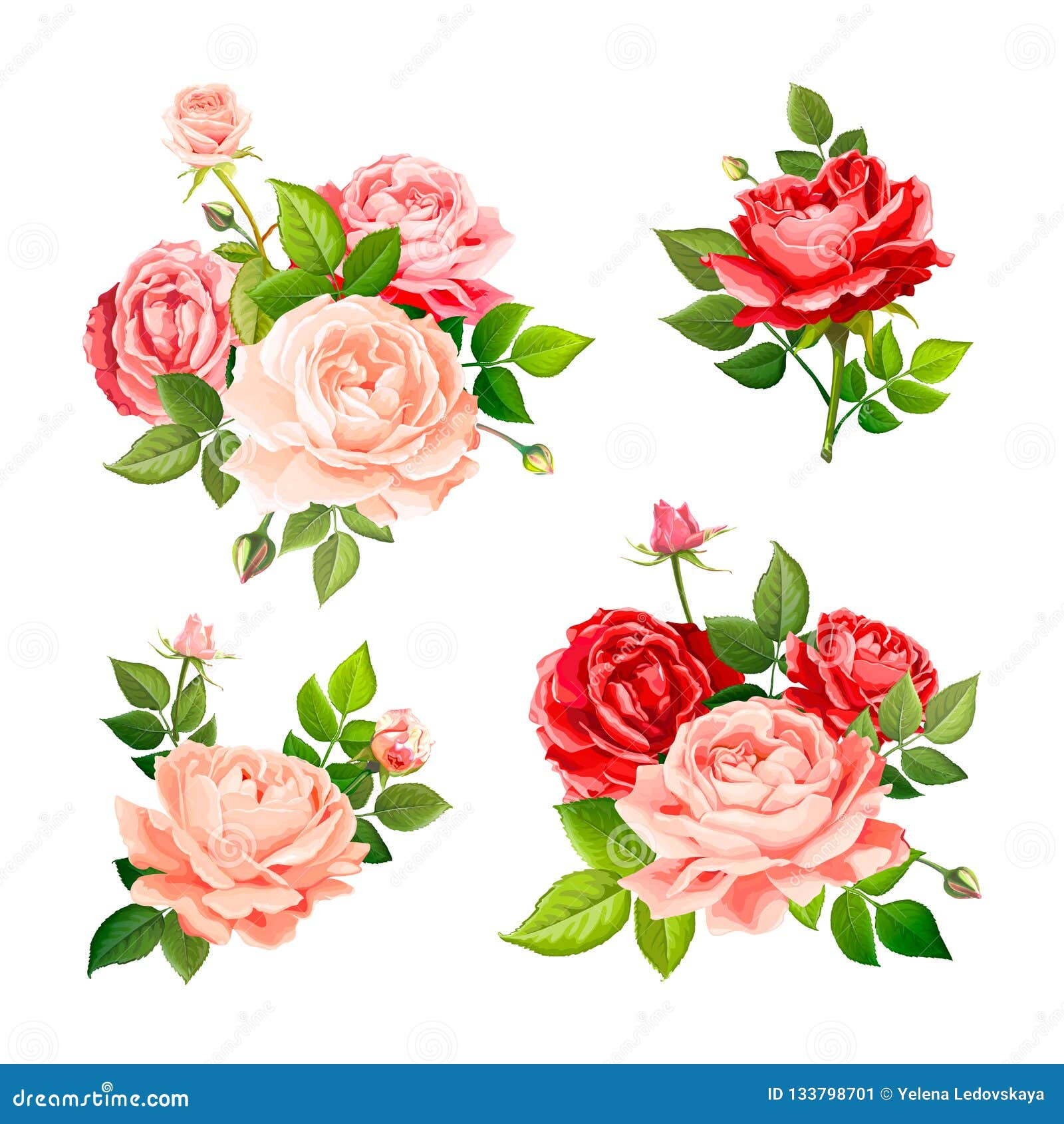 Lovely rose flower stock vector. Illustration of card - 133798701