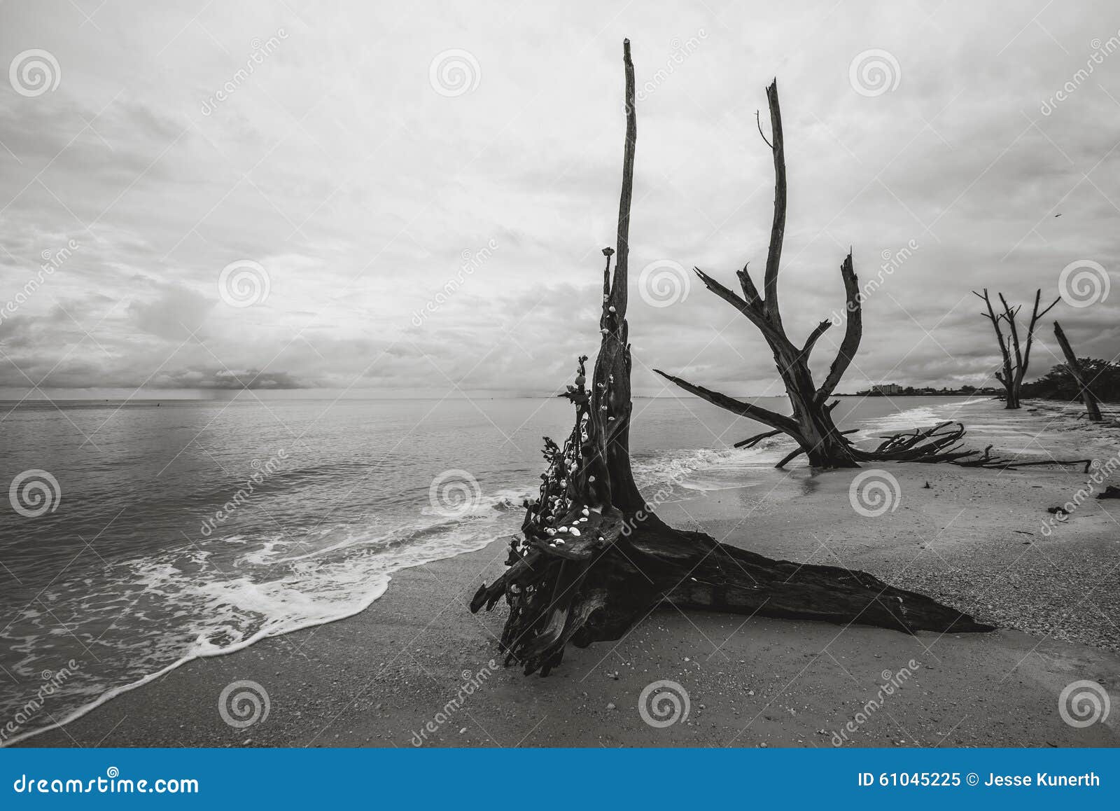 lovers key in bonita springs, florida