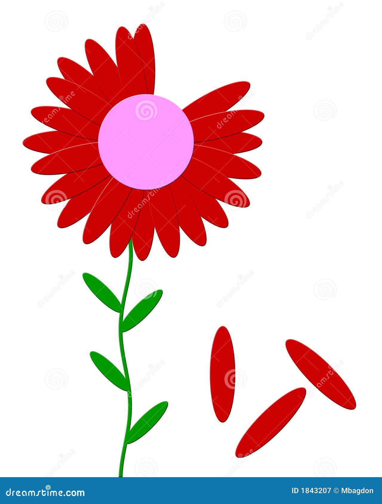 He Loves Me, he Loves Me Not Stock Illustration Illustration of flower, plant 1843207