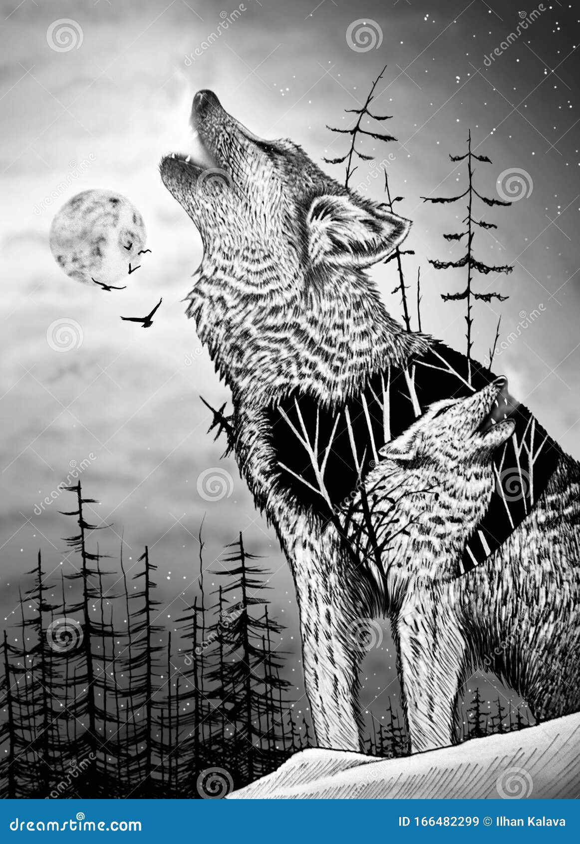 Loving Wolves in Nature. Wolf Drawing. Animal Illustration Stock  Illustration - Illustration of draw, beast: 166482299