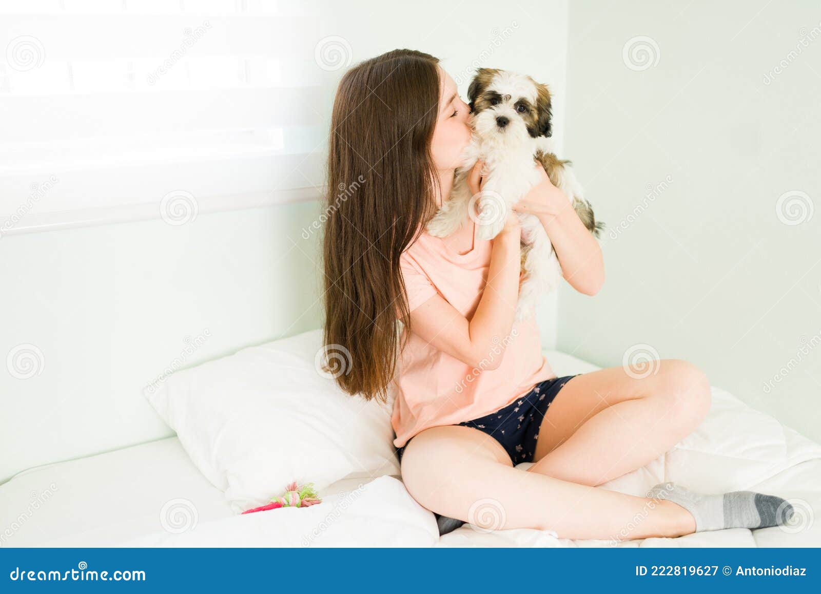Loving Woman Kissing Her Small Breed Dog Stock Image picture