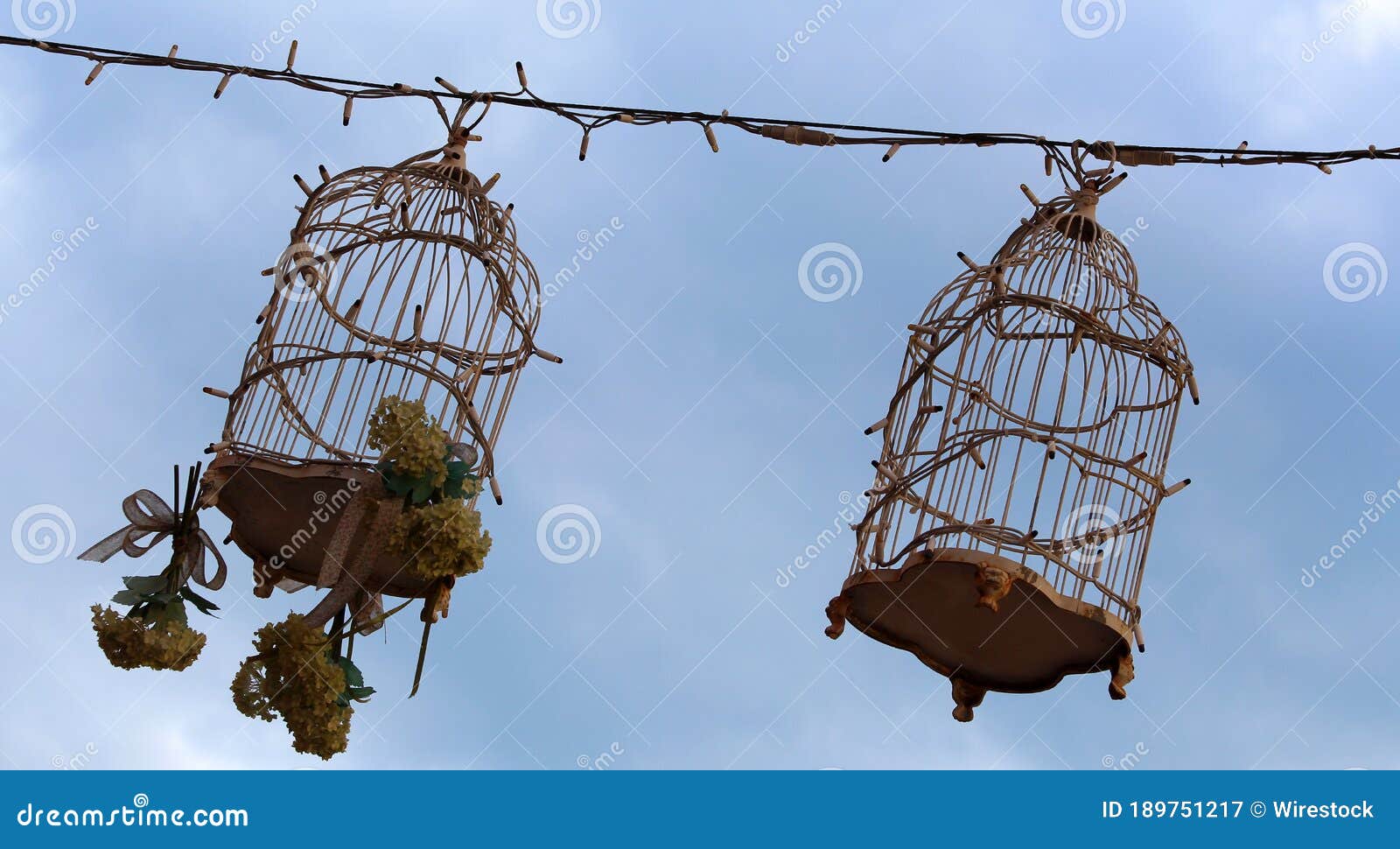 Low Angle Shot of Bird Cages with String Lights and Flowers Around Them during Daylight Stock