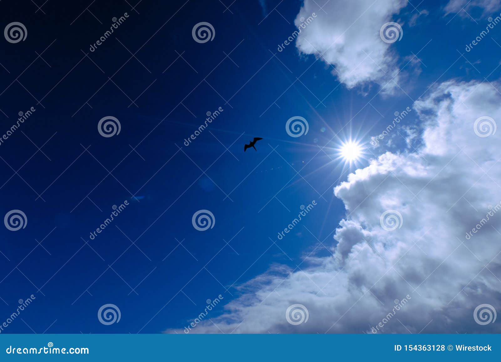 Low Angle Shot Of A Silhouette Of A Bird Flying In The Sky With