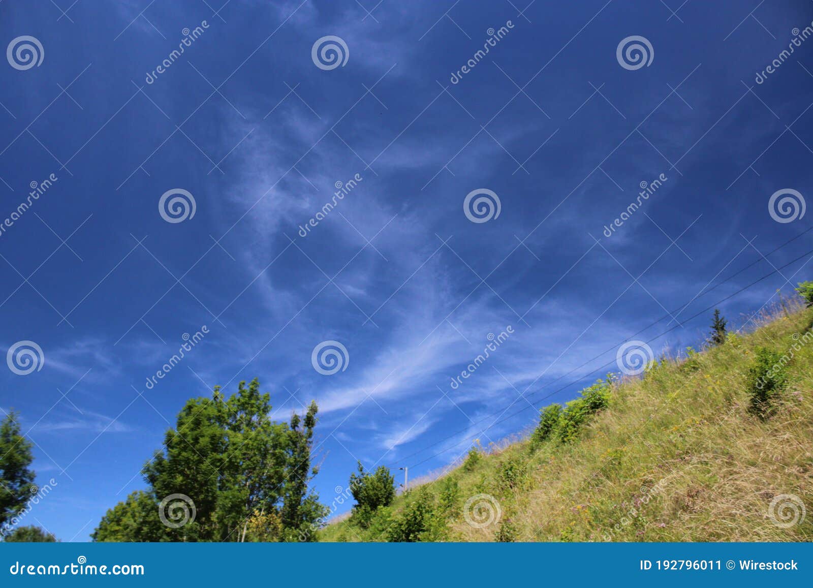 low angle shot of the trees under a blue sky  in lac de l'entonnoir near the bouverans, france