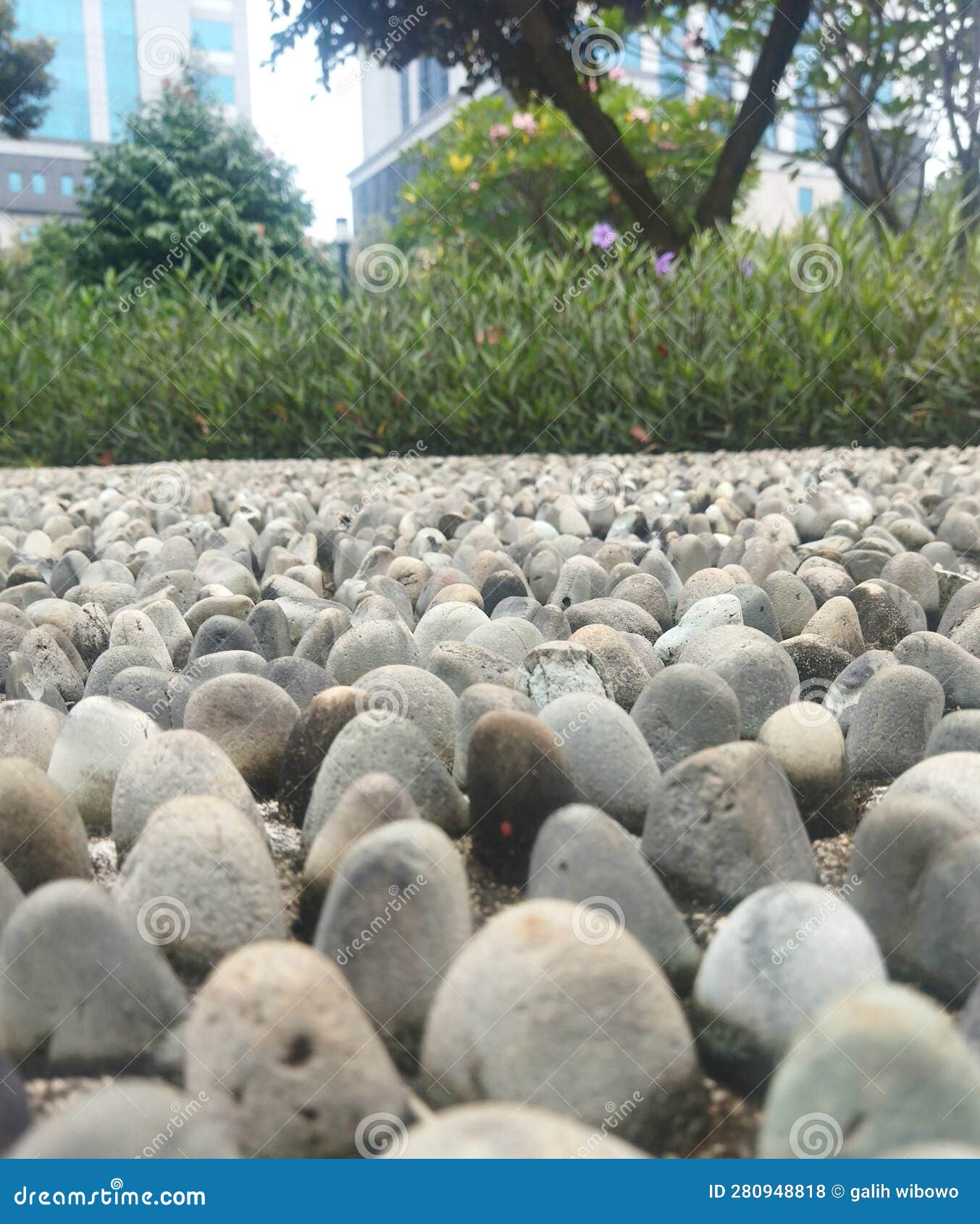 Low Angle of Traditional Foot Massage Stone Stock Photo Image of soil