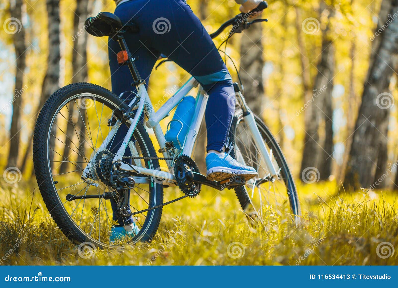 Cyclist Riding Mountain Bike in the Forest Stock Image - Image of cycle ...