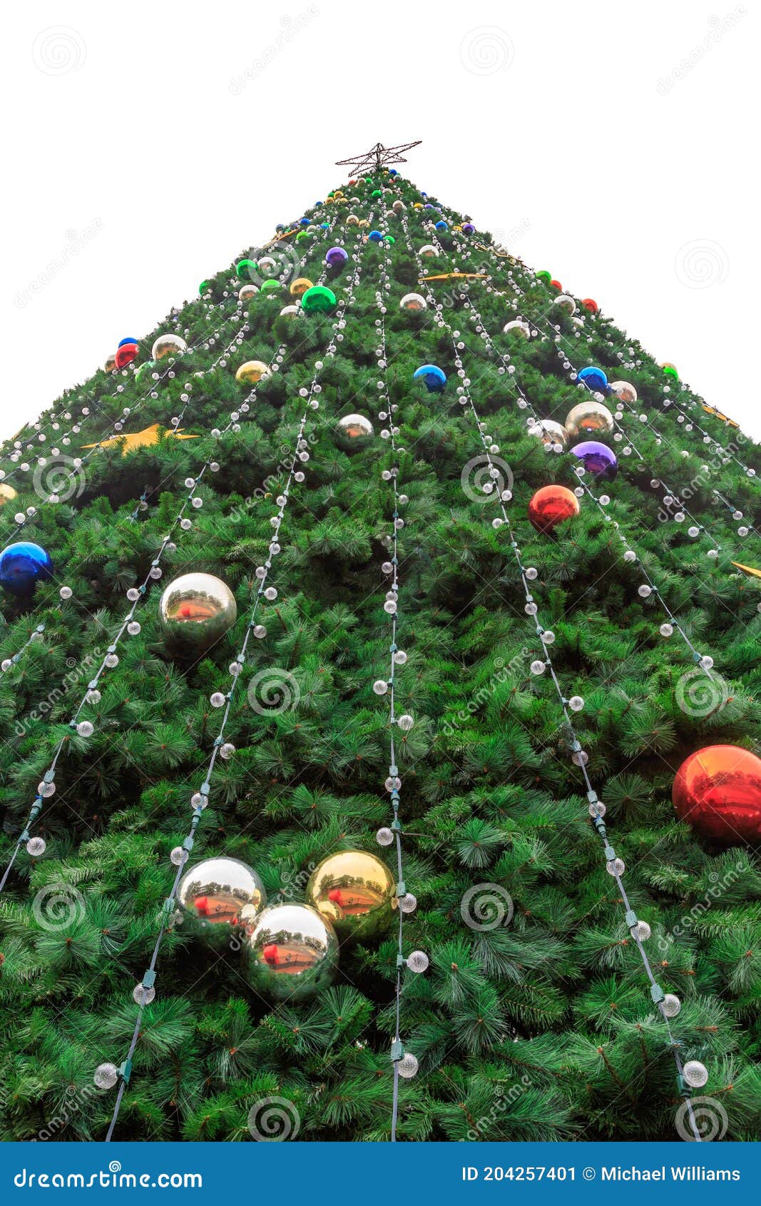 Low Angle View of a Towering Christmas Tree Stock Image Image of