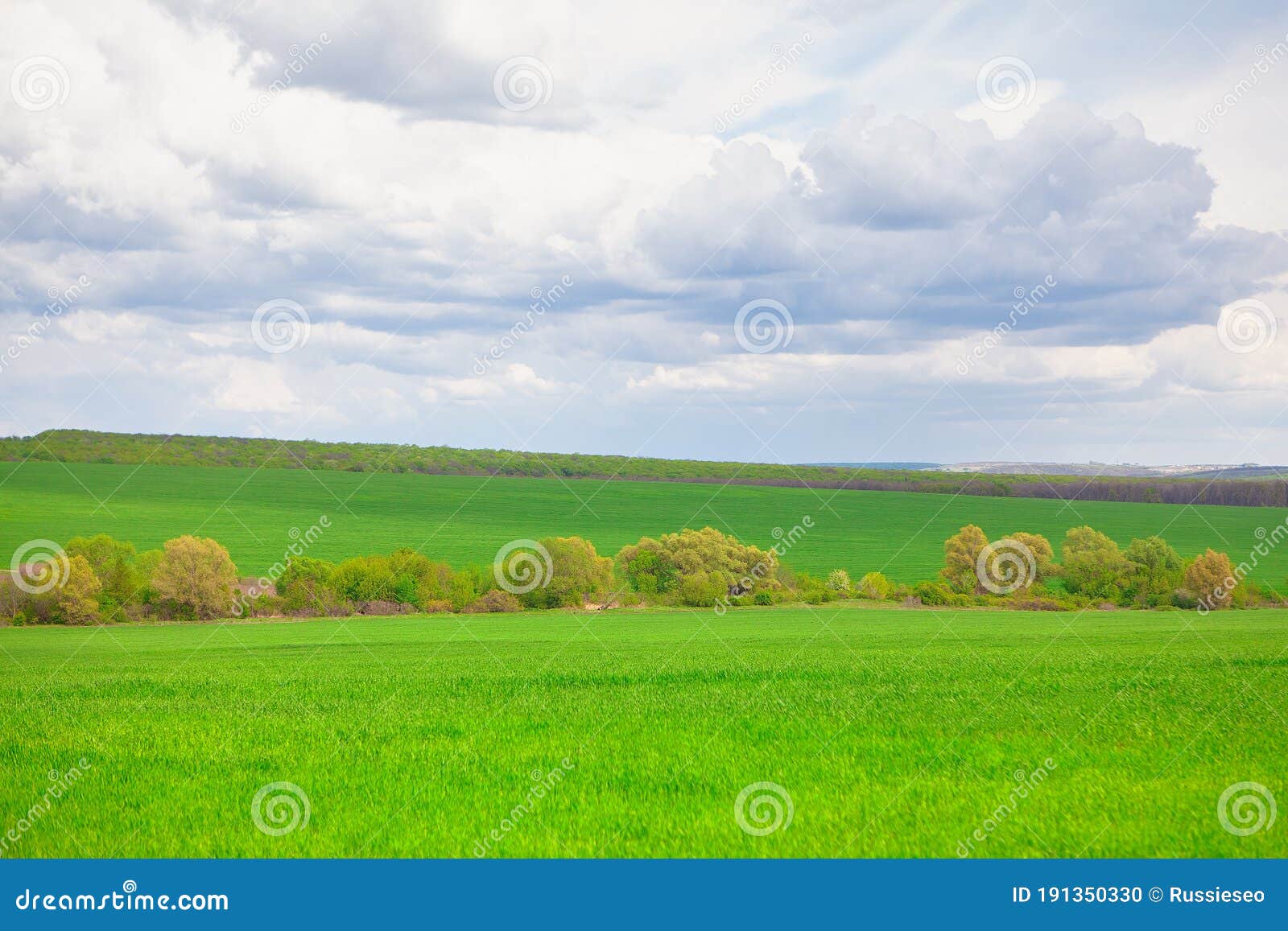 Low Clouds Over The Green Meadow Stock Photo Image Of Landscape