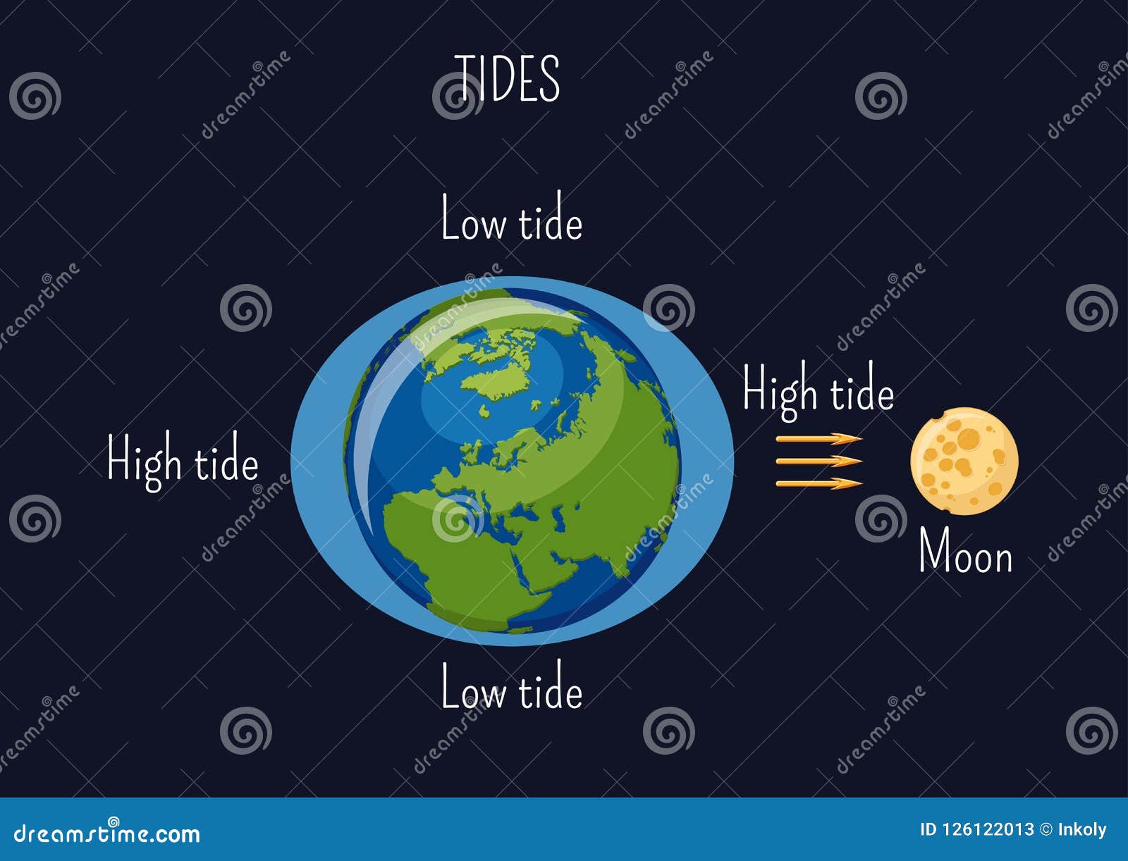 low and high lunar tides diagram. effect of moon gravitational force on seacoast water level.