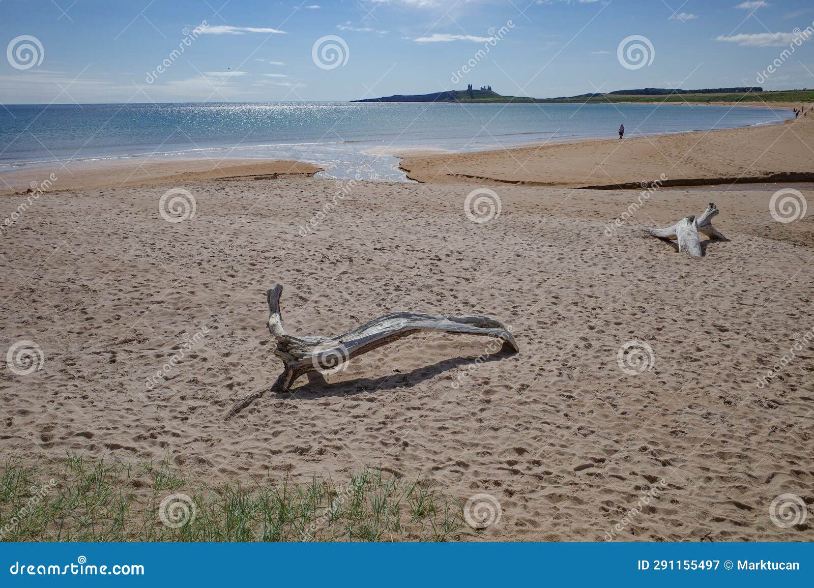 low newton, uk - 13 july, 2023: views of dunstanburgh castle and the northumbria coast, low newton by the sea
