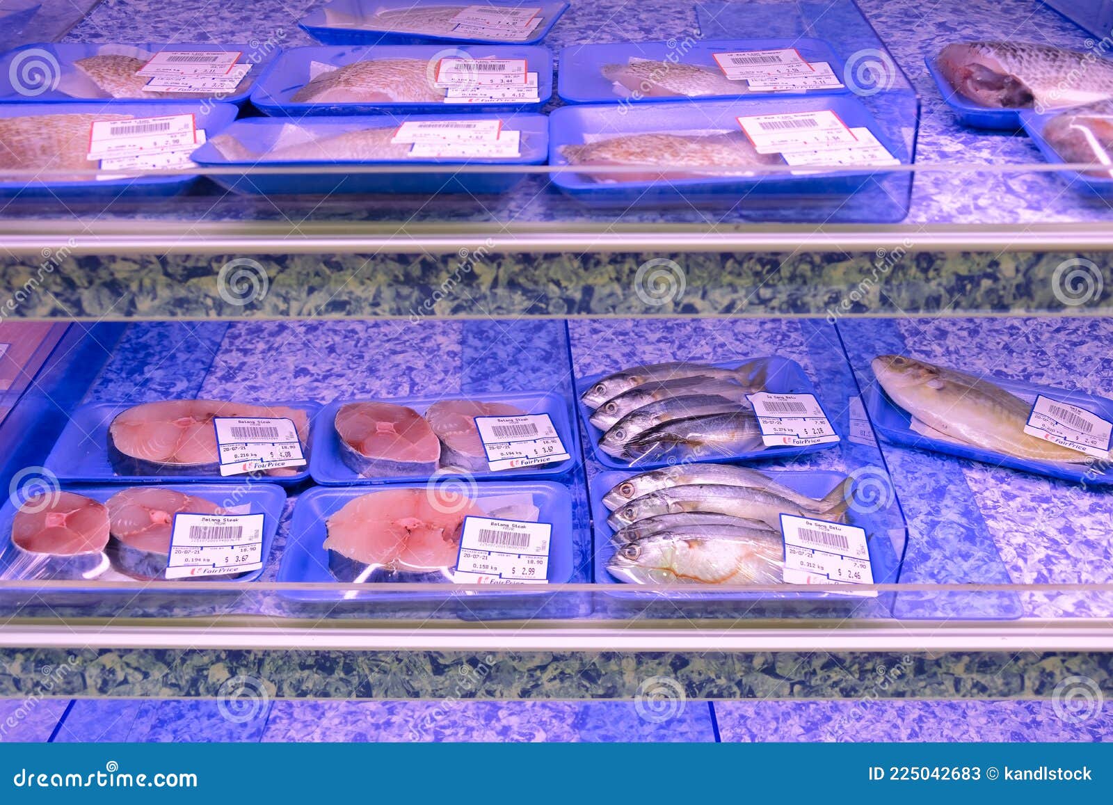 Low Selection of Prepacked Fresh Raw Fish Displayed on Shelves for