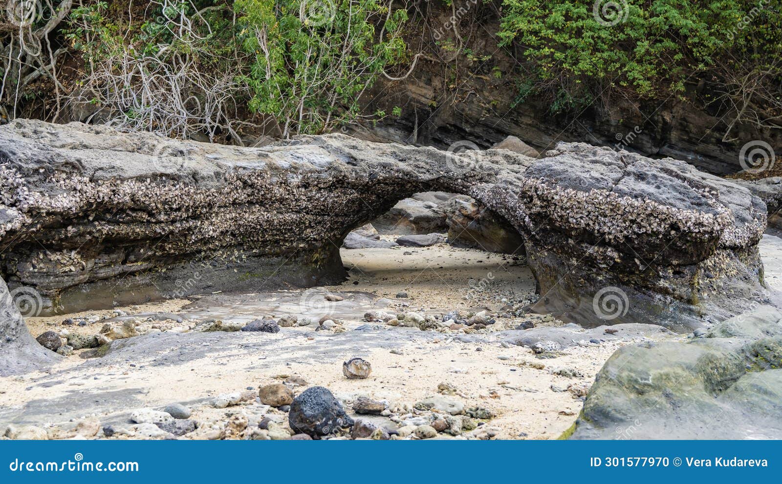low tide. attached mollusks are visible on the exposed rock arch.