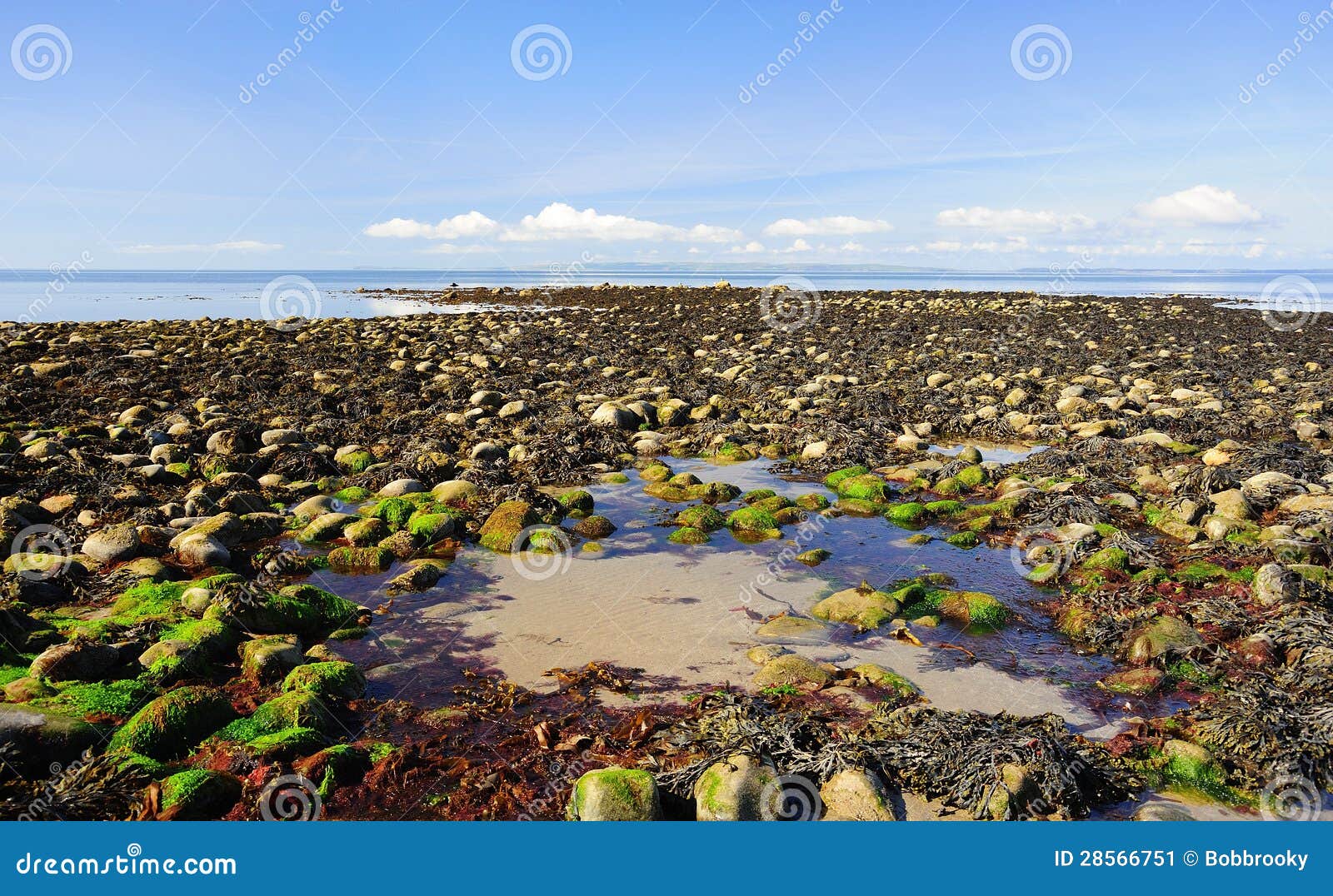 low tide, luce bay, scotland