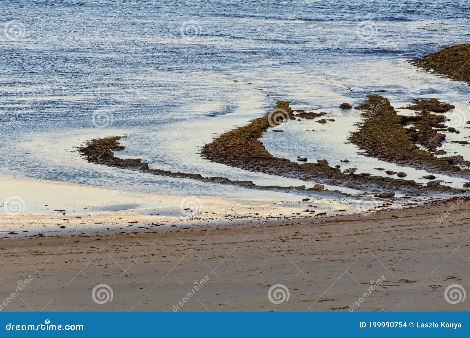 Low tide Torquay stock photo. Image of environment 199990754