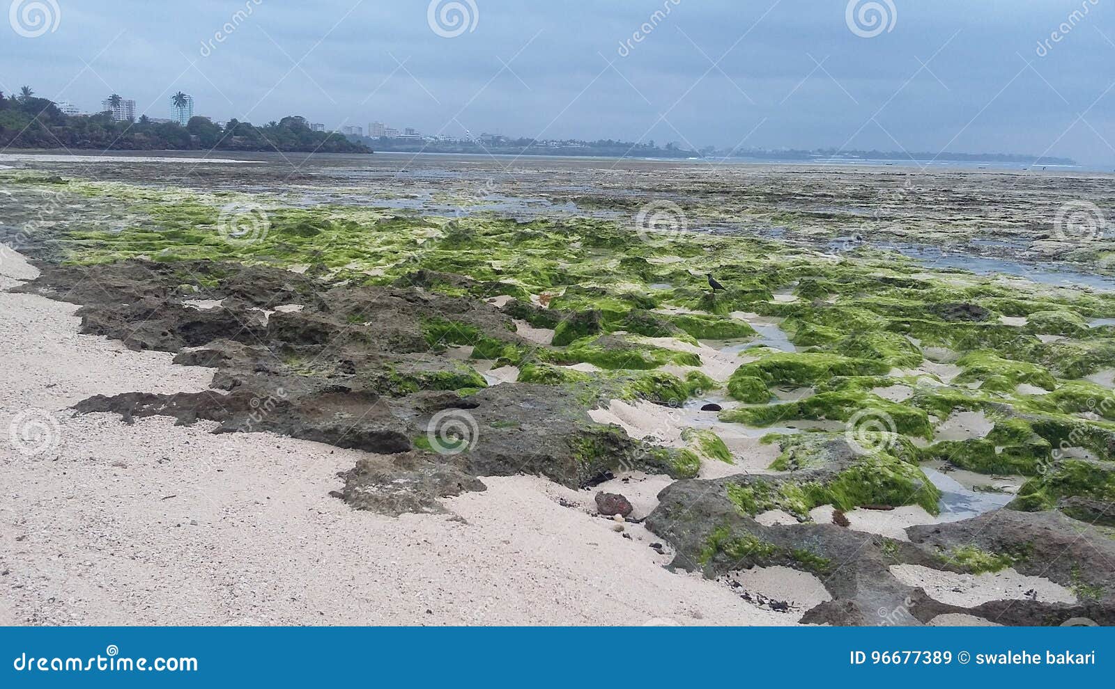 Low tides stock image. Image of tides, beach, shelly 96677389