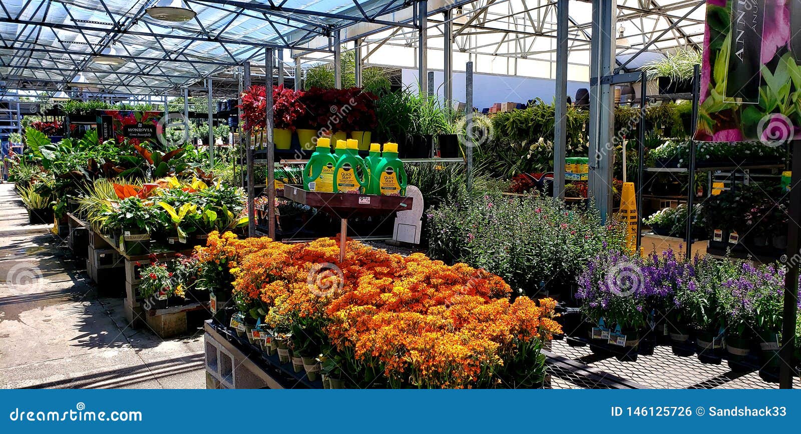 Lowe S Garden Center Editorial Photo Image Of Plants 146125726