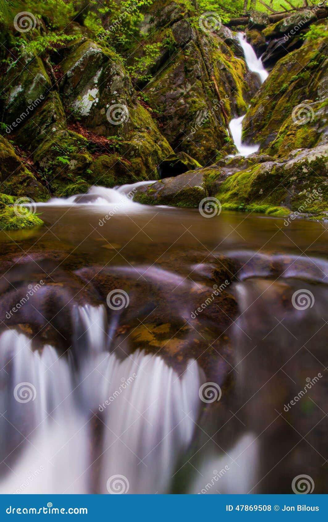 lower dark hollow falls, in it's lush, rocky enviroment in shena