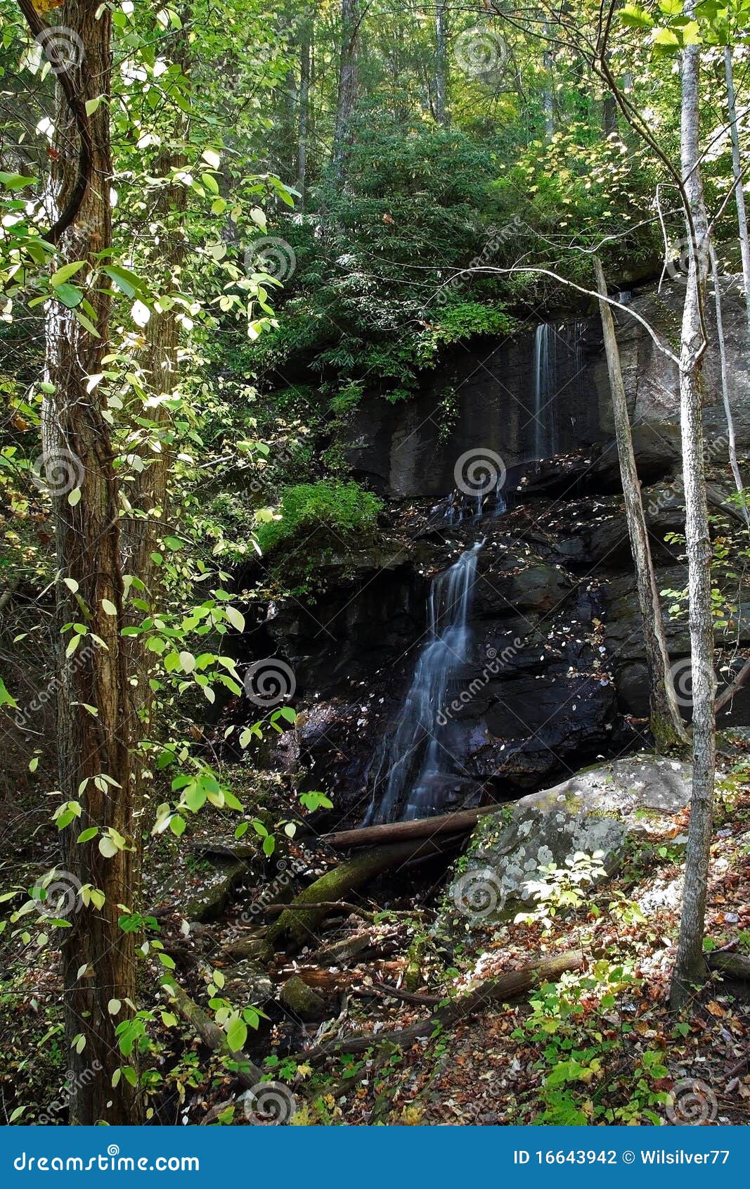 lower de soto falls