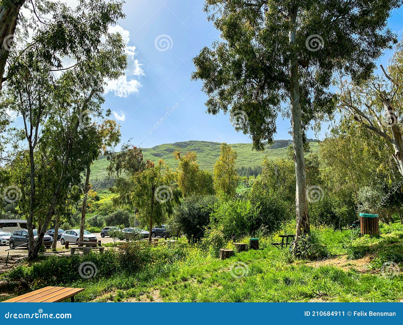 Lower Galilee Panorama at Spring Time Stock Image Image of north