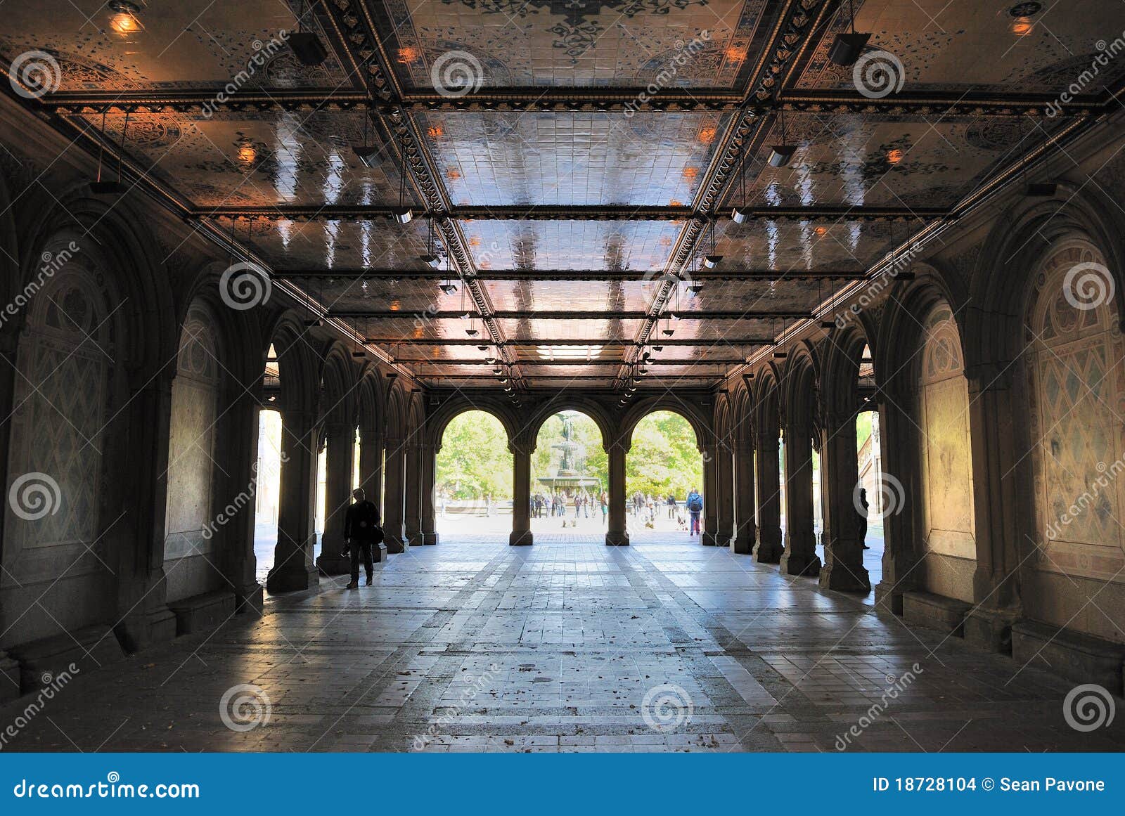 1,794 Bethesda Terrace Central Park Royalty-Free Images, Stock Photos &  Pictures