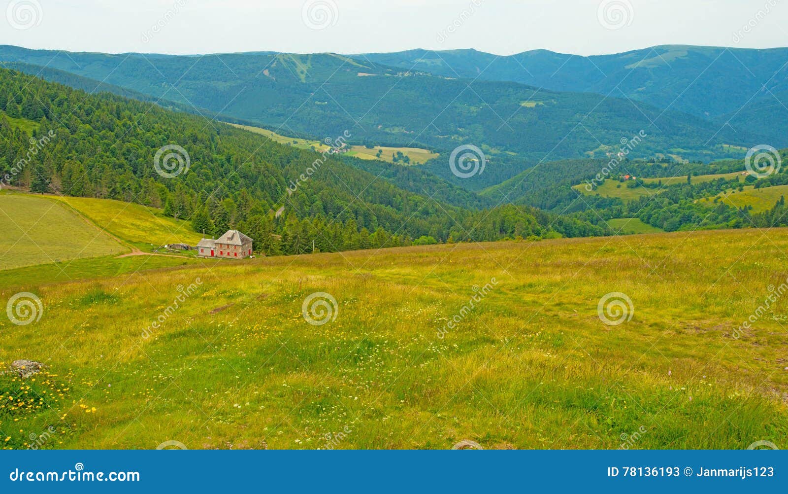 The Lower Vosges Mountains in Summer Stock Image Image of field, rock