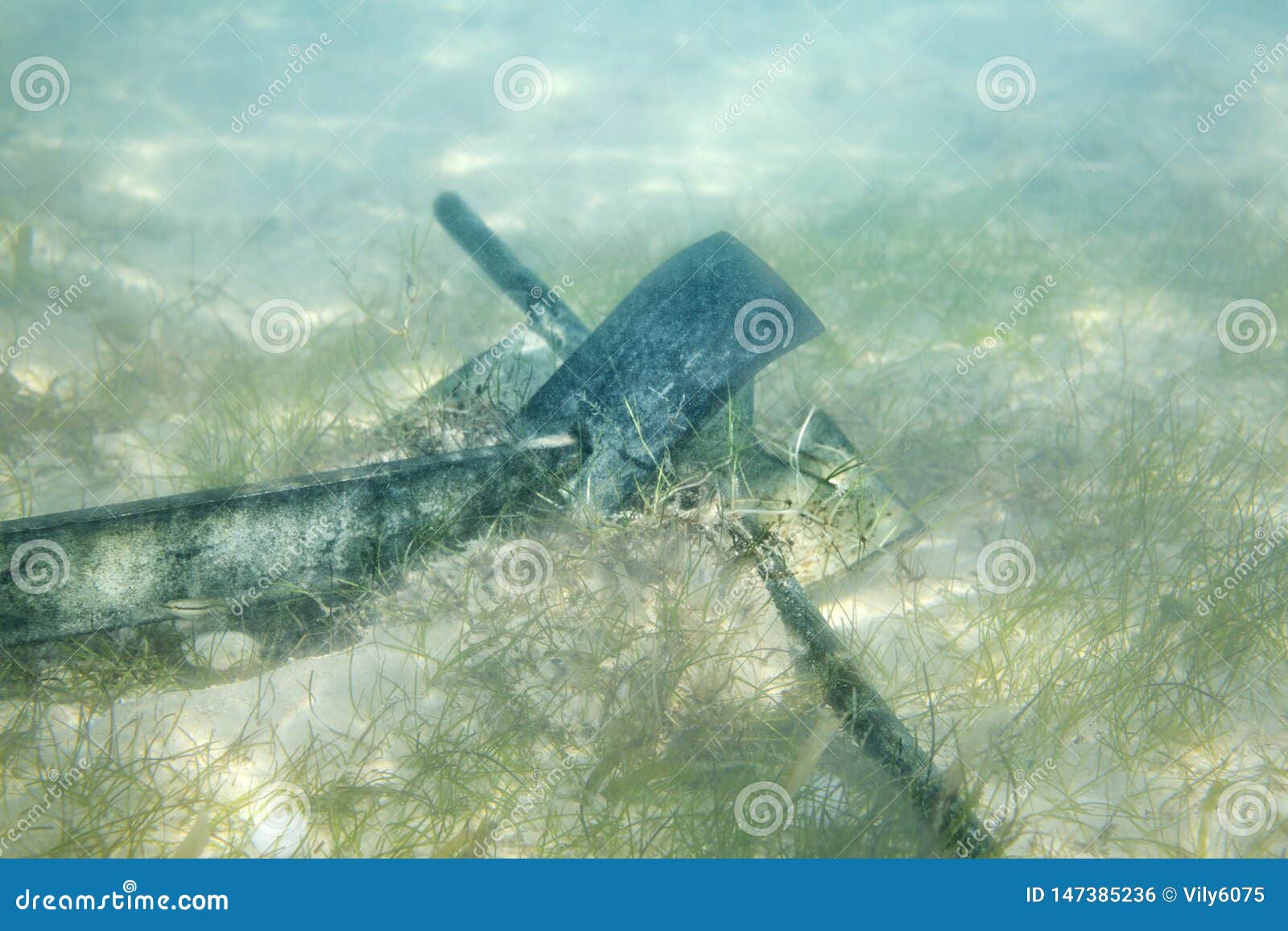 Lowered Ship Anchor on the Sandy Bottom of the Sea Stock Photo Image