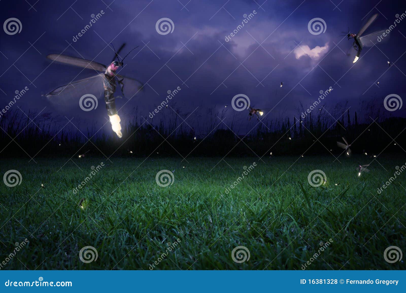 Lucciole alla notte fotografia stock. Immagine di stelle 16381328