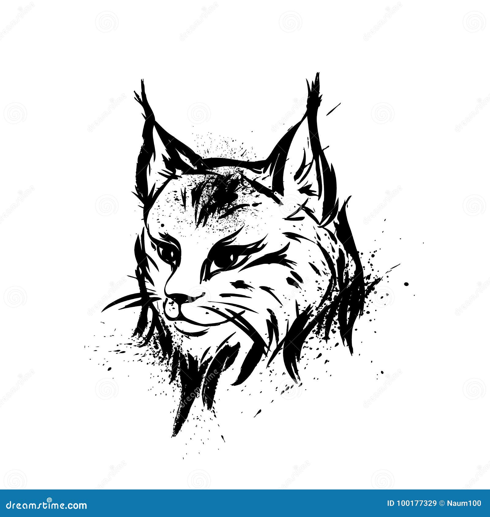 Luchs Oder Wildkatze Raub Vektor Abbildung Illustration Von Wildkatze