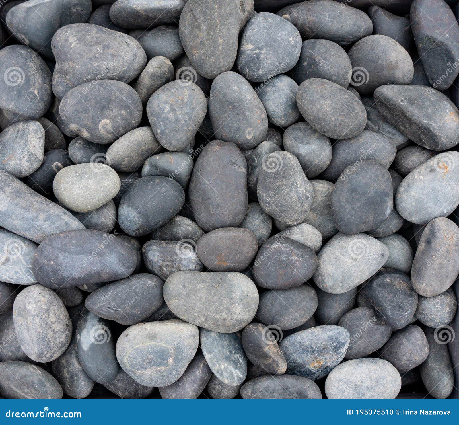 lucido nero black natural pebble background. texture of black smooth stones. natural pebbles for landscaping
