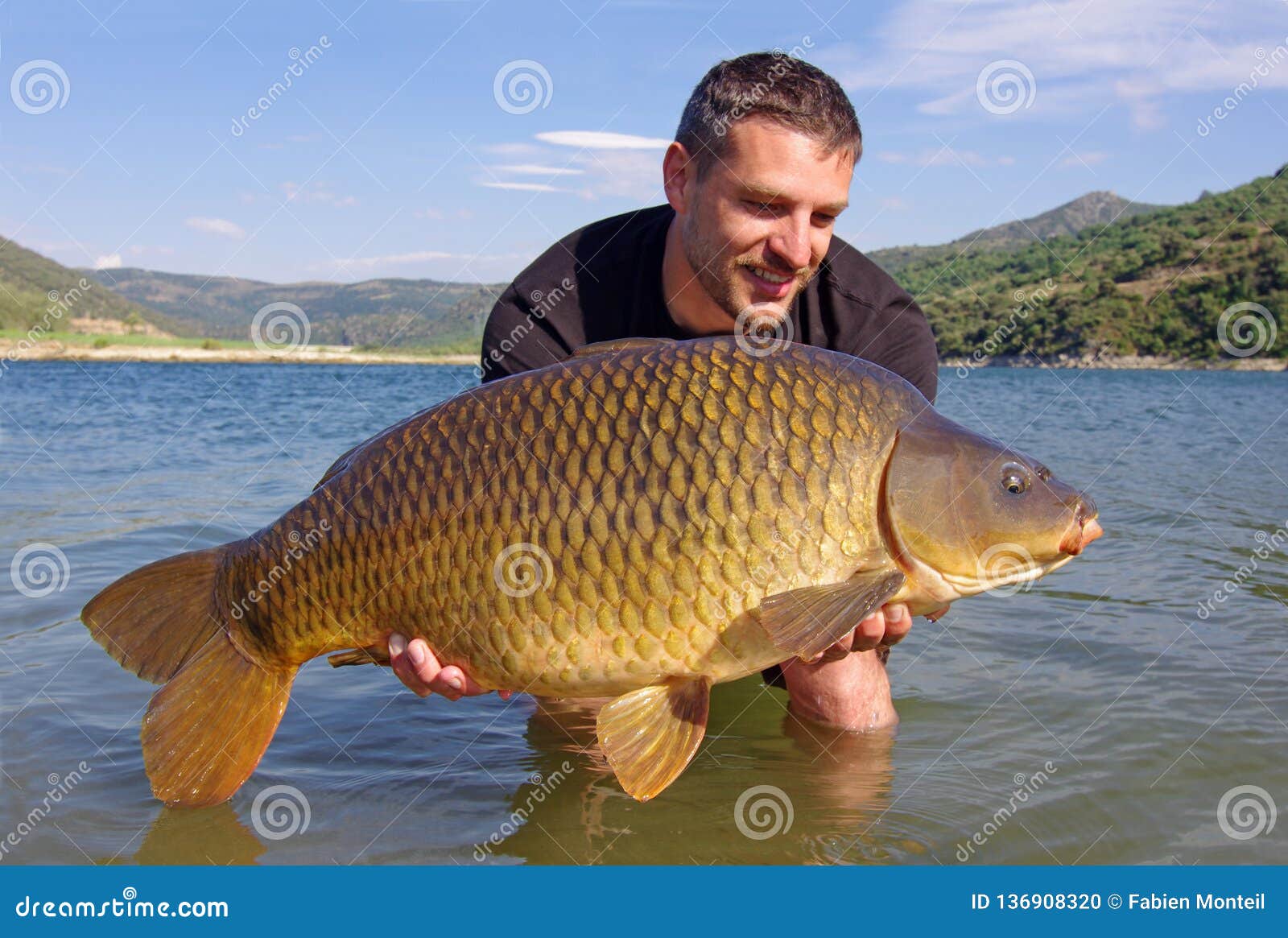 carp fishing. catch and release