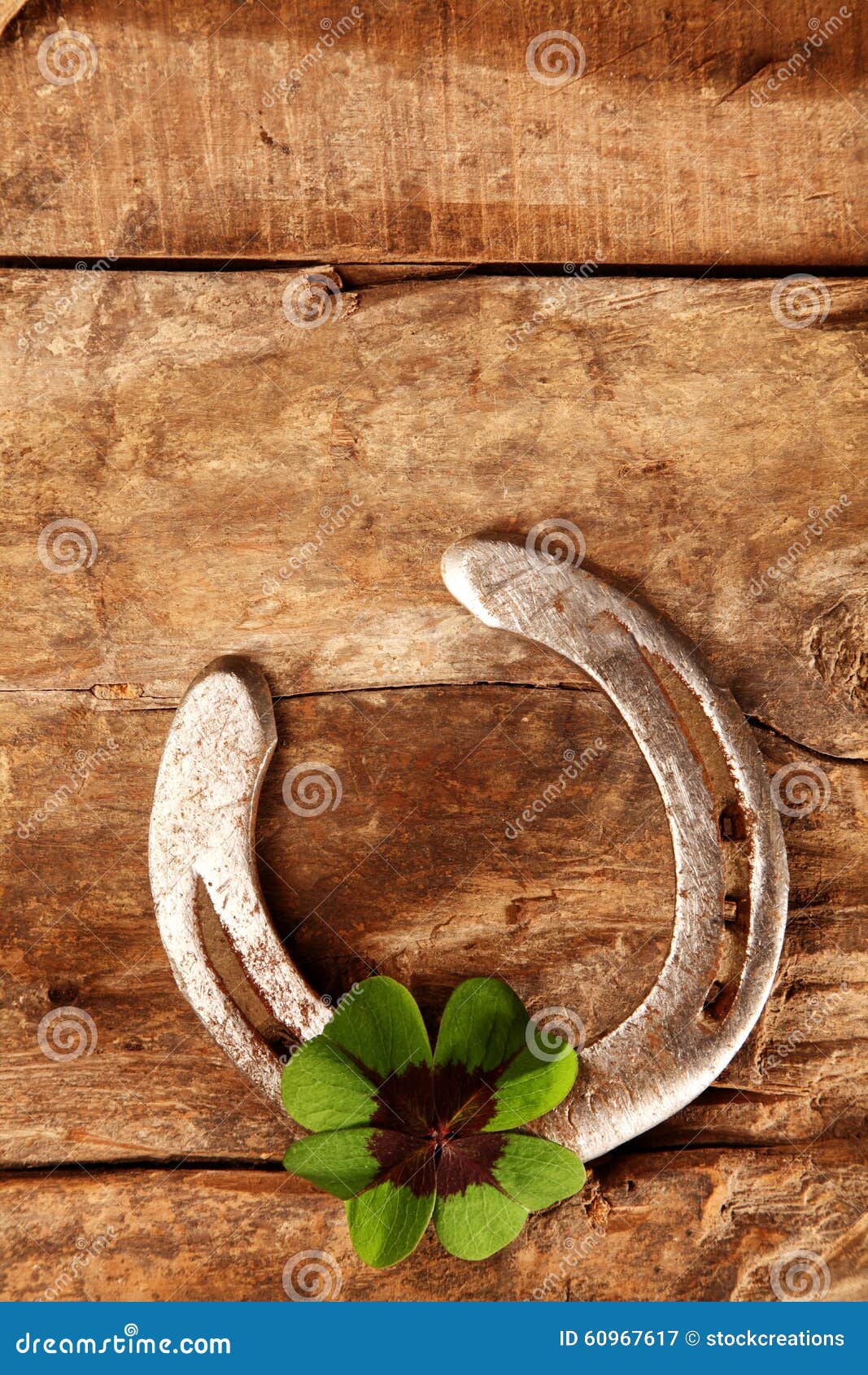 wallpapers Wedding Horseshoe Cartoon dreamstime com