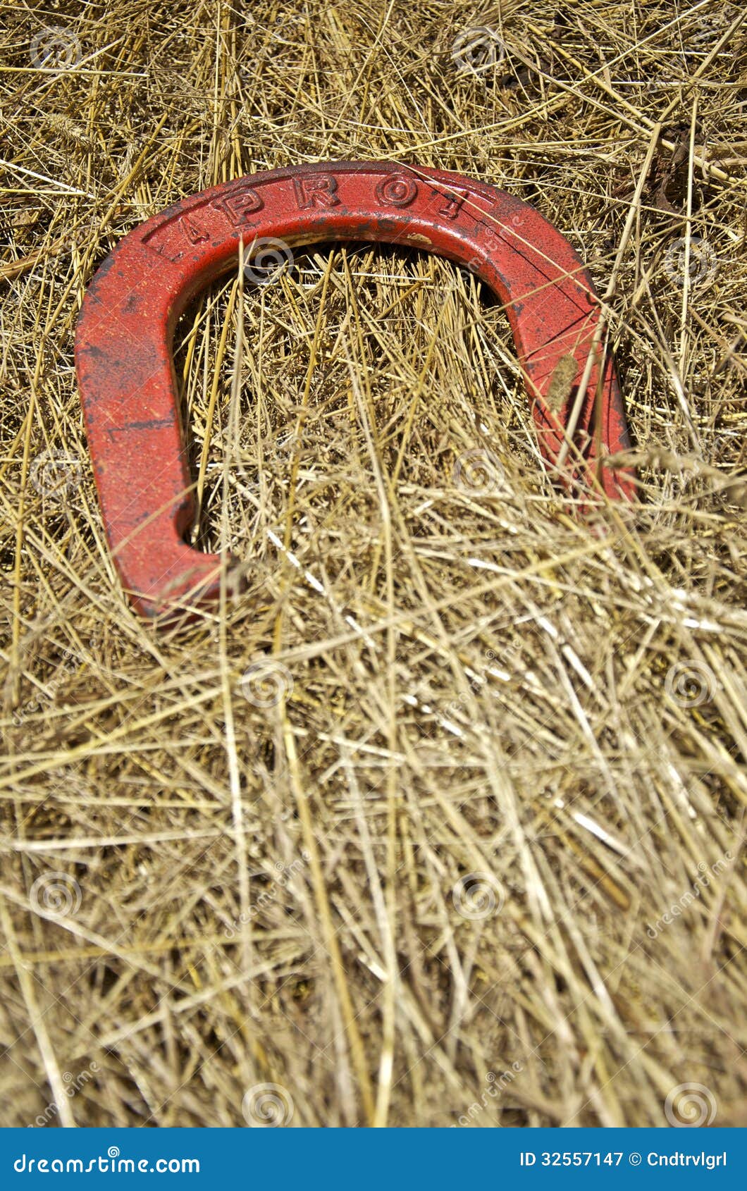 Lucky Red Horseshoe stock image. Image of farm, vertical 32557147