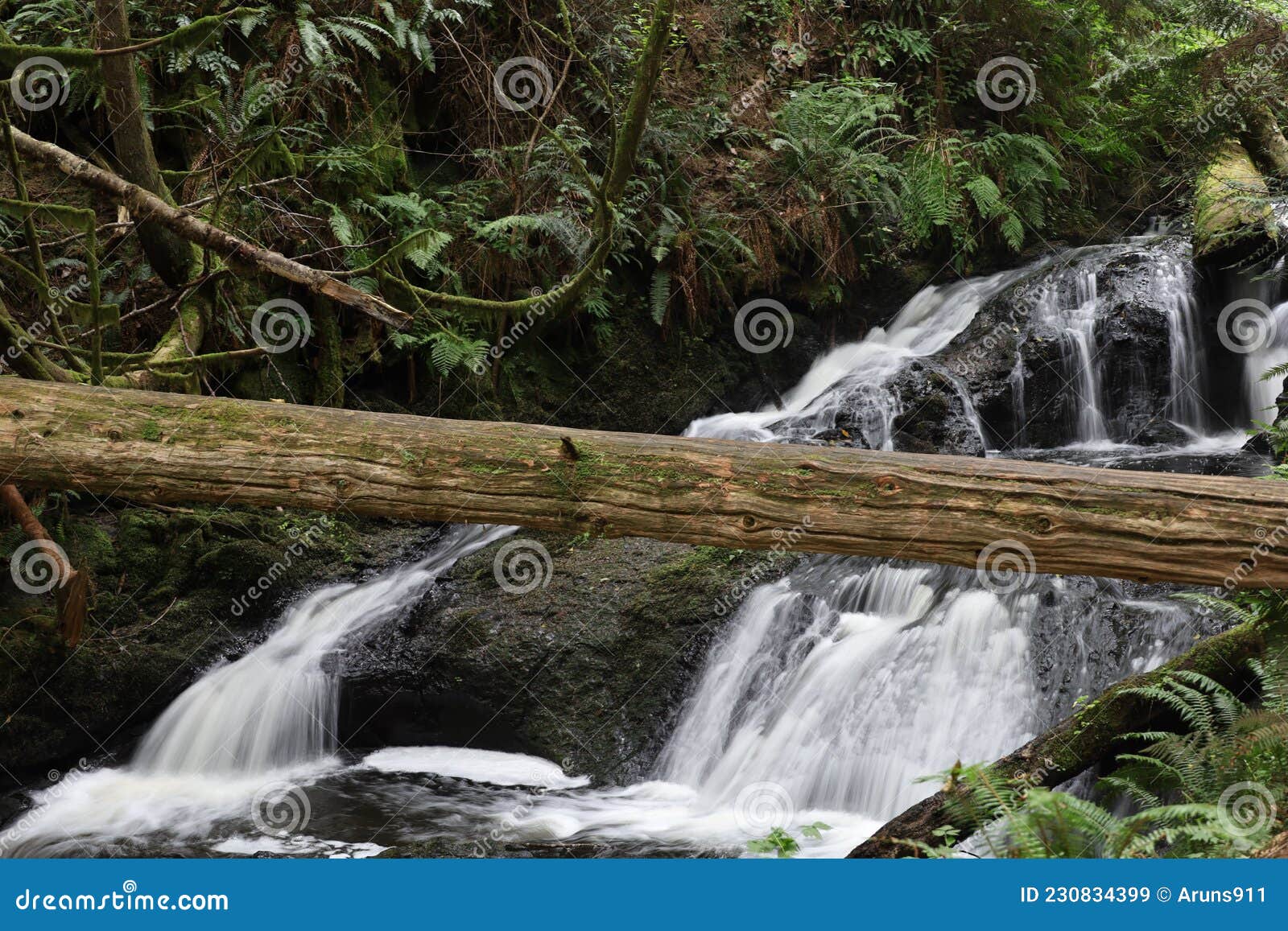 Ludlow Falls in Washington State Stock Image Image of state, stream