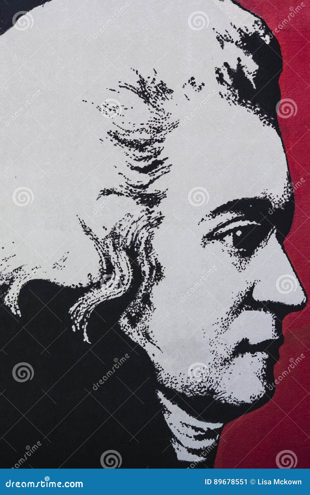 A portrait resembling Ludwig van Beethoven. Wall Graffiti in Colorado Springs.