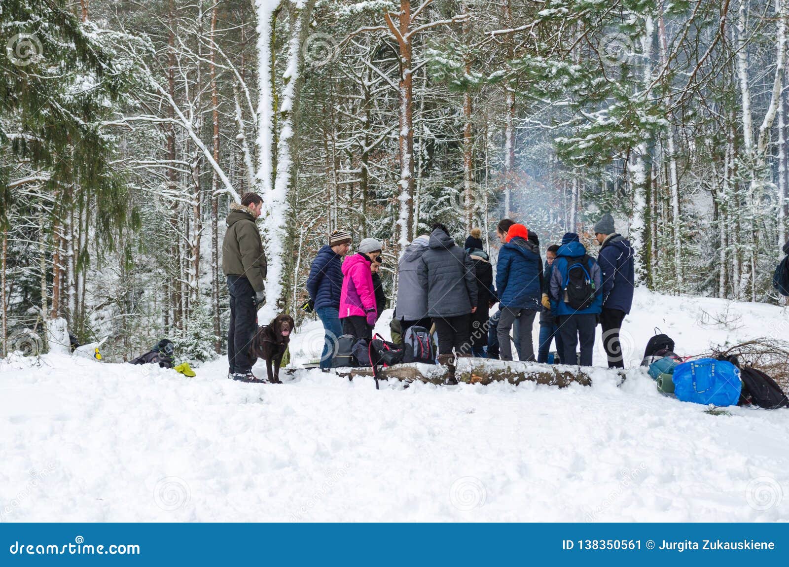 Ludzie w lesie na wintertime. Grupa ludzi komunikuje z each inny outdoors w lasowy pełnym śnieg, jeden osoba z psa stojakami zdala od everyone