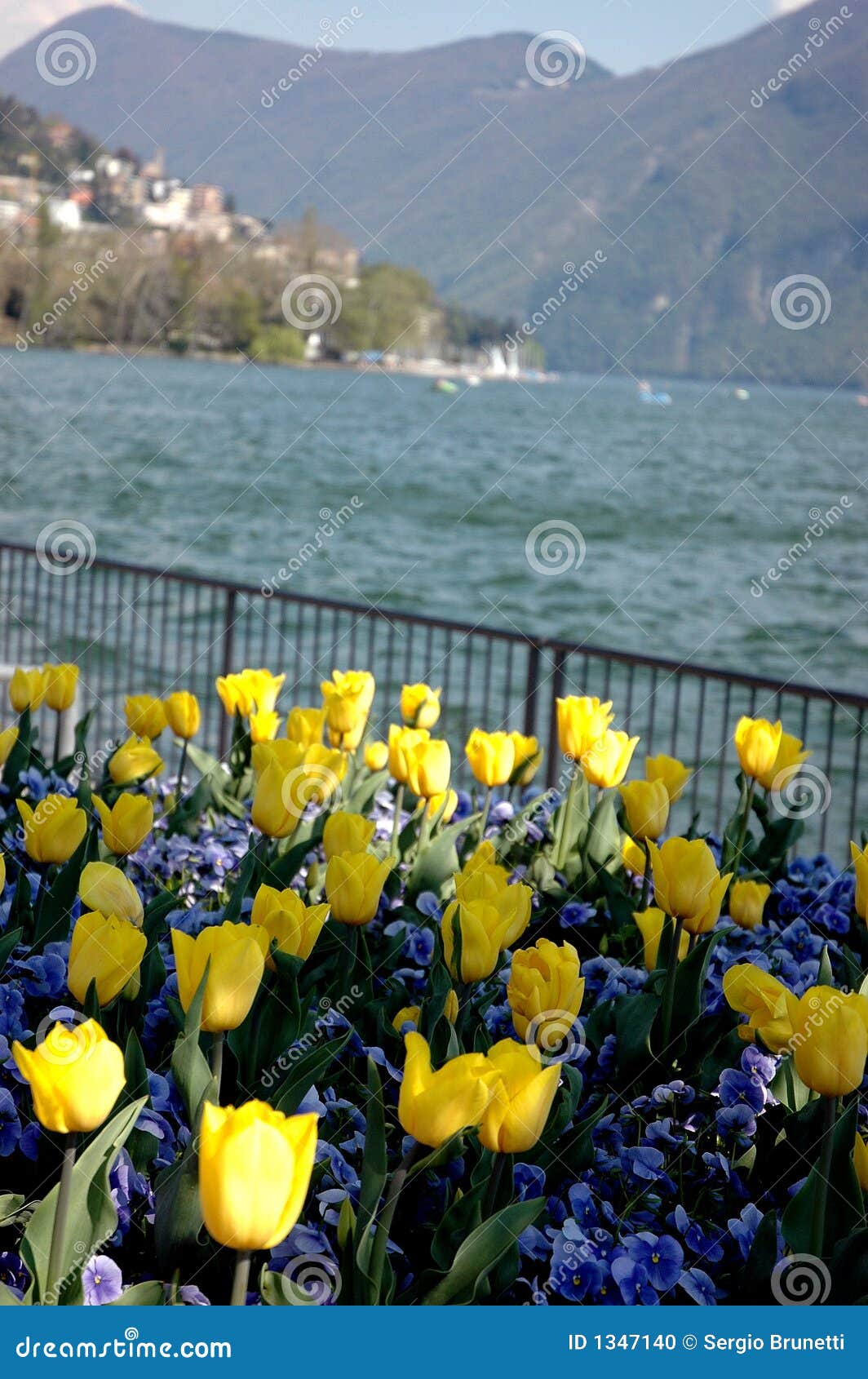 lugano, flowers on the lake