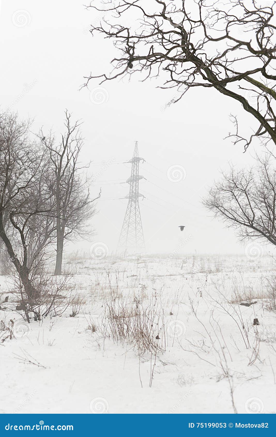 lugansk region in winter in foggy day
