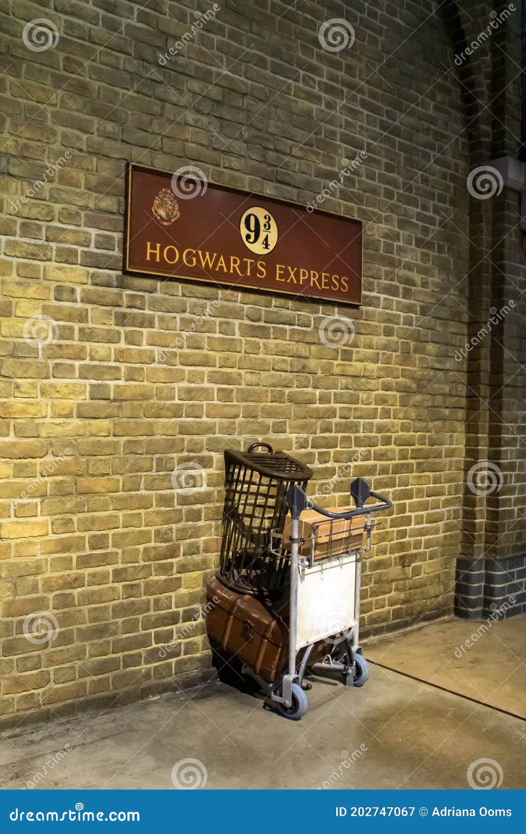 Harry Potter Teppich Platform 9 3/4 100 x 100 cm