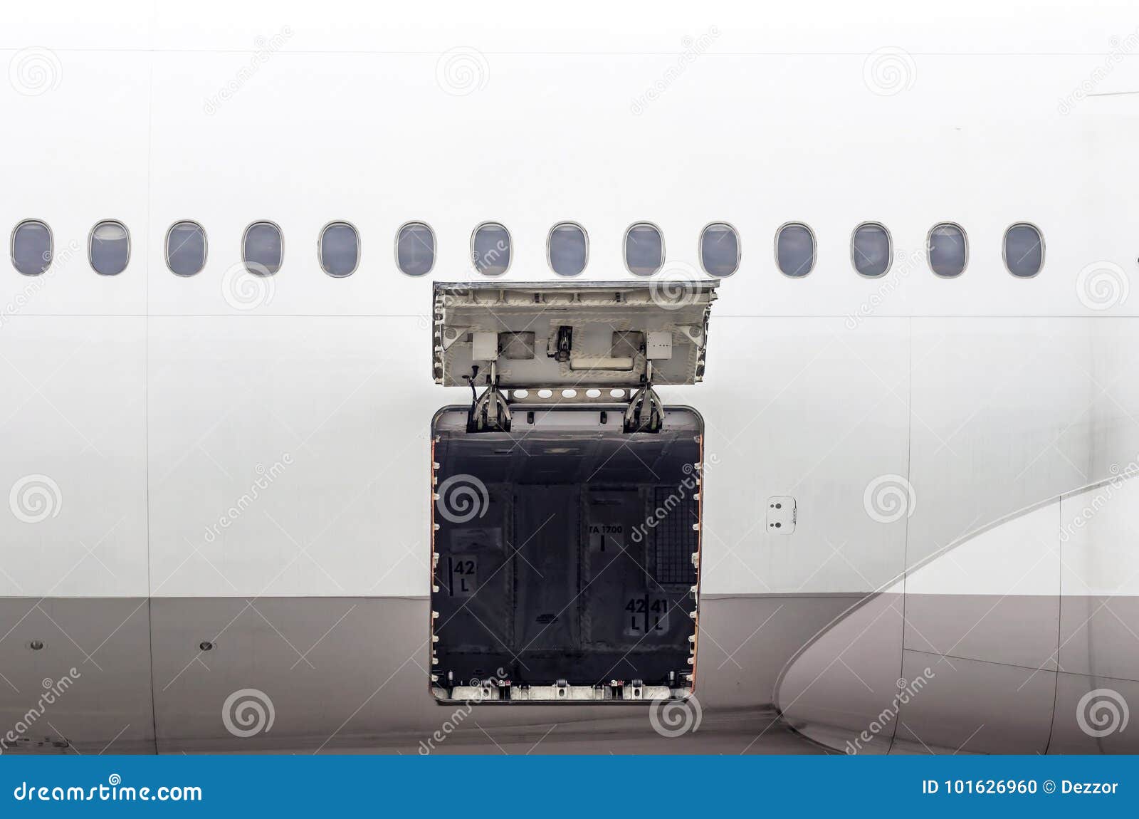 Luggage Compartment and Cargo Section in the Airplane Open on